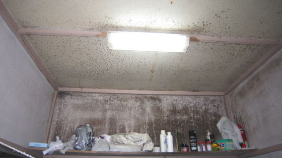 リフォーム前の洗面所の天井
